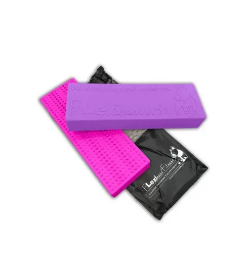 สุนัขฝึกการจัดระเบียบเท้าและสมาธิด้วยการก้าวข้ามบาร์ฝึก