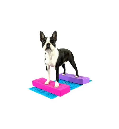 ชุดบาร์ STACKING BAR สำหรับฝึกการก้าวข้ามและการเคลื่อนไหวของสุนัข