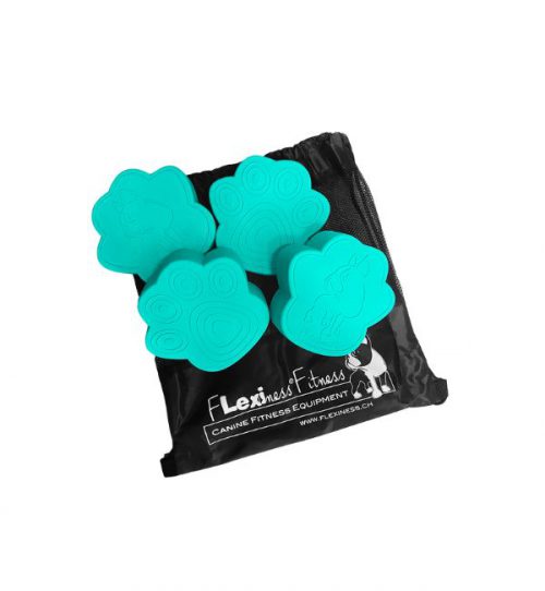 TOY PAW DISC จานยางที่มีปุ่มหนามนวดช่วยกระตุ้นประสาทสัมผัสสัตว์เลี้ยง