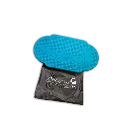 TWIN DISC อุปกรณ์ฝึกทรงตัวทรงกว้างสำหรับสัตว์เลี้ยง รองรับการวางเท้าคู่