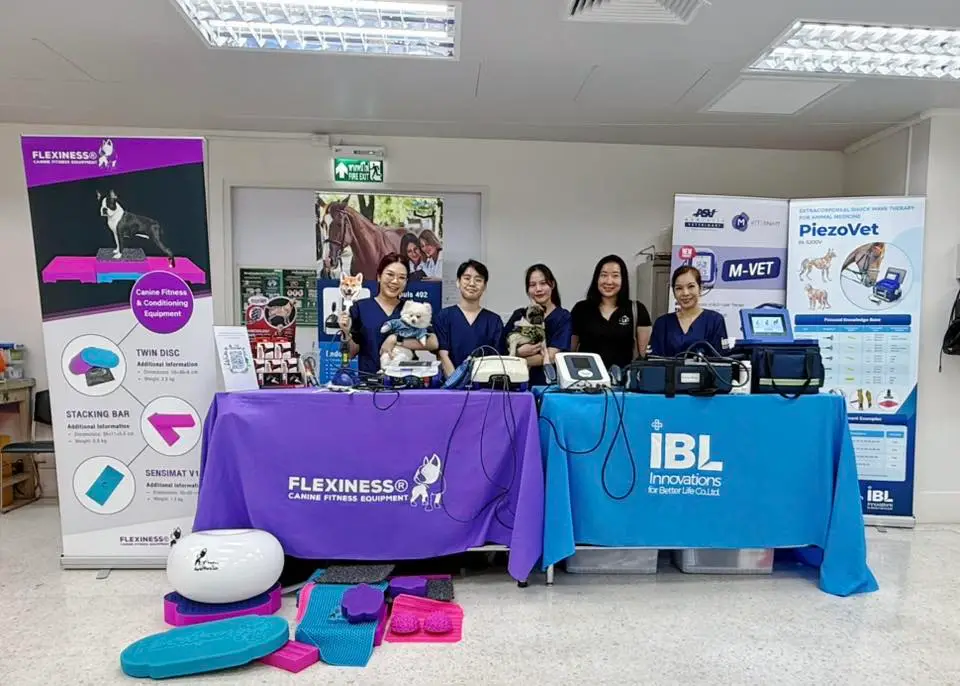 ภาพรวมของบูธ IBL ที่เต็มไปด้วยผู้สนใจทดลองใช้อุปกรณ์จริง ทั้ง Flexiness, Underwater Treadmill และ MLS Laser