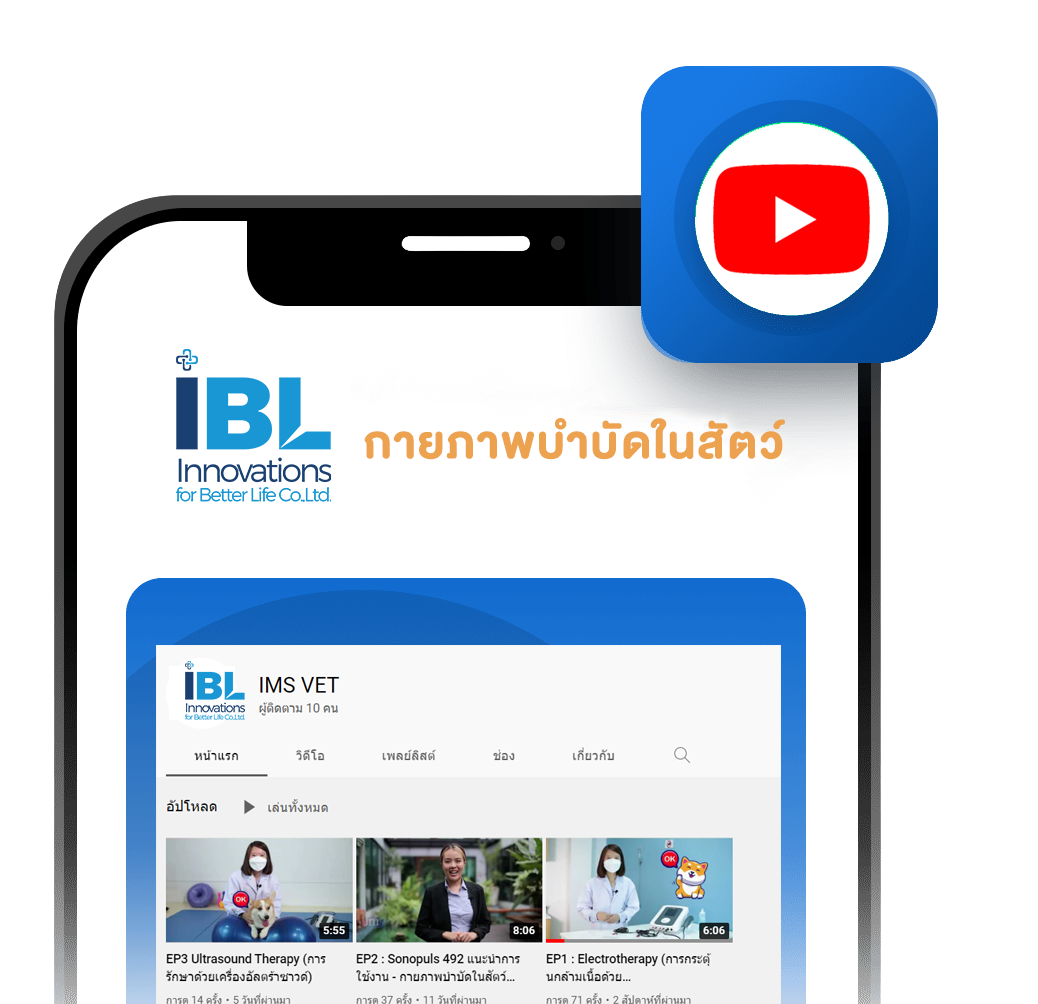 IBL-Youtube-No-bg