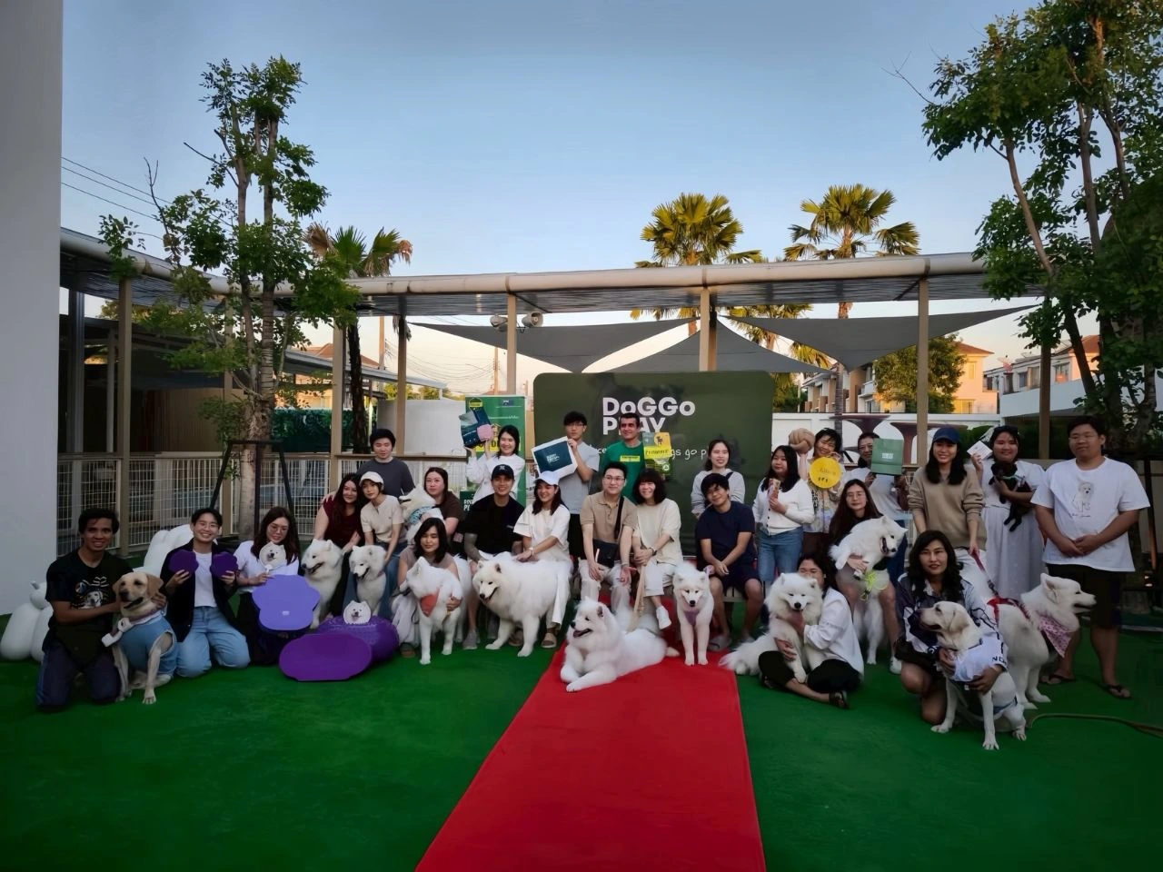 ควันหลงความสุข! ภาพบรรยากาศงาน SAMOYED PARTY: เมื่อแก๊งขนฟูมาอัปเกรดความฟิตกับ Flexiness Thailand