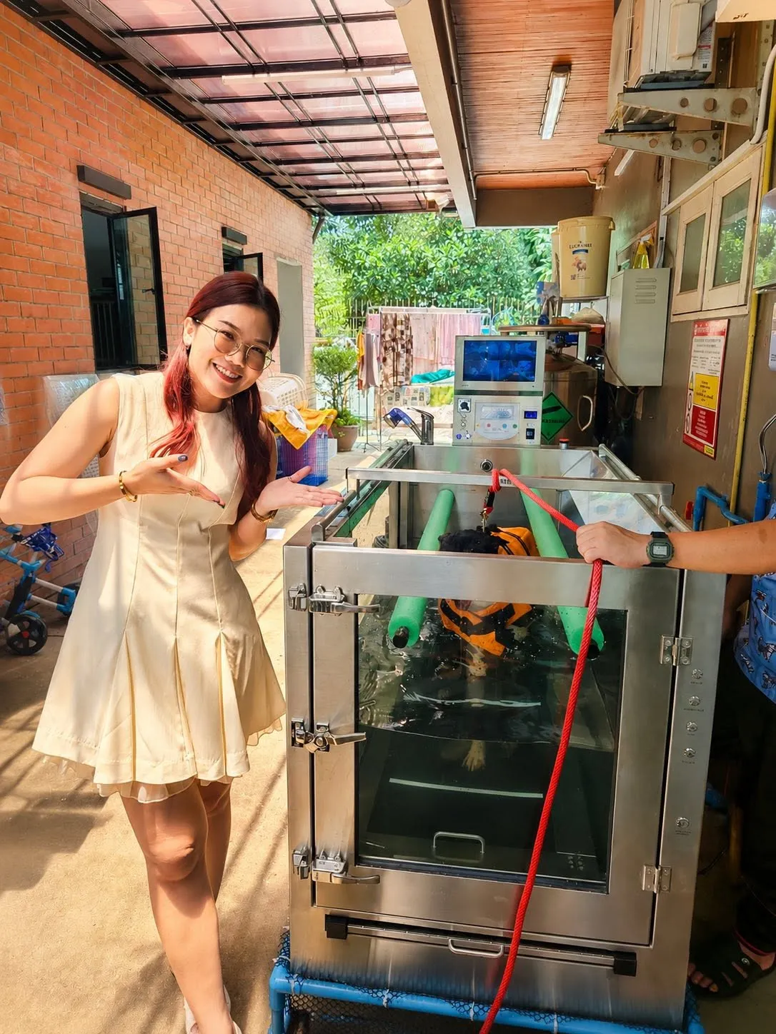 thawin-pet-hospital-mmb-underwater-treadmill-02