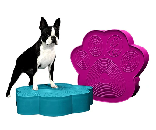 PawStep - Image 2