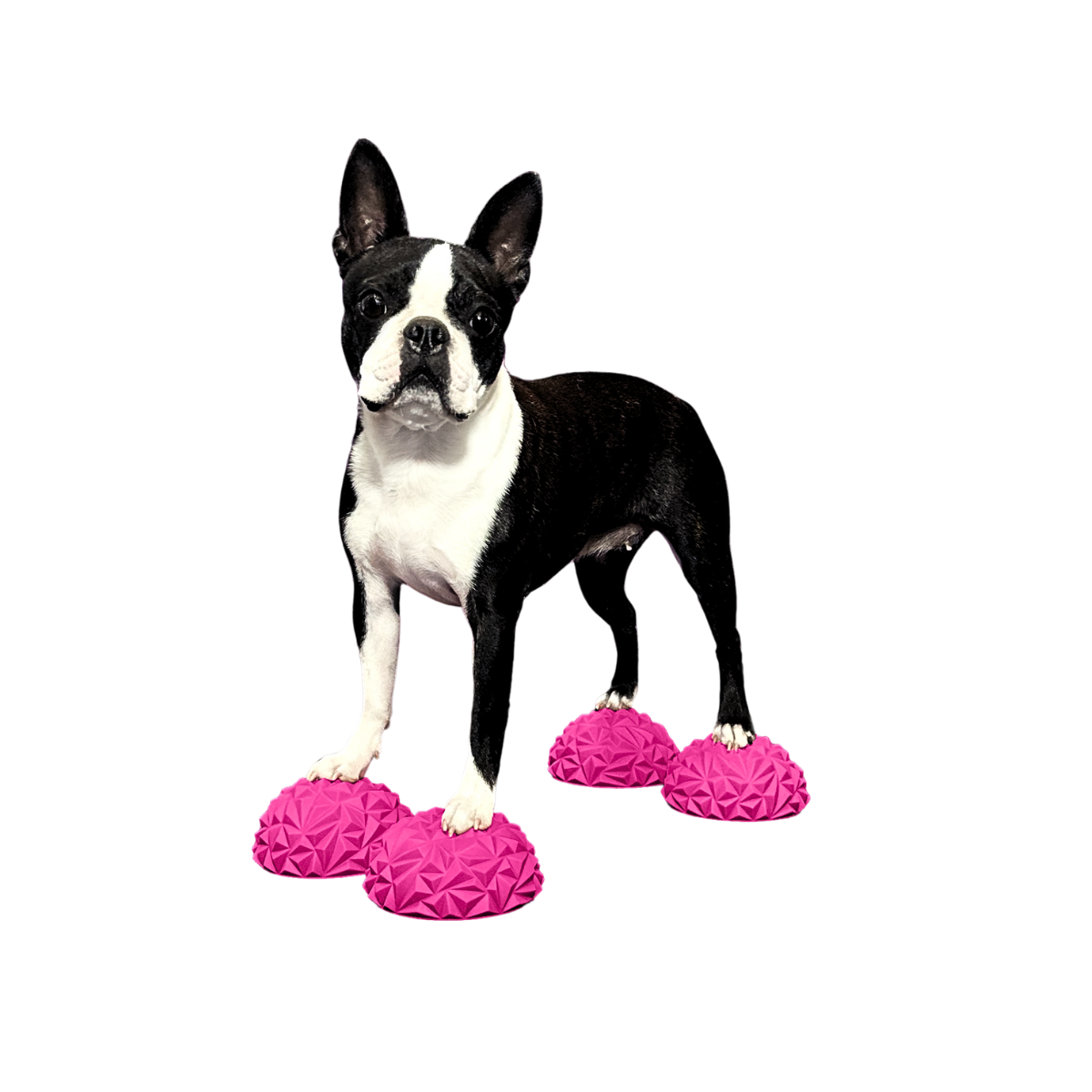 Paw Stackers (Toy) - Image 2