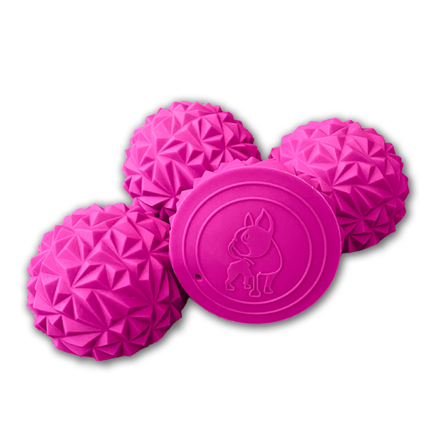 Paw Stackers (Toy)