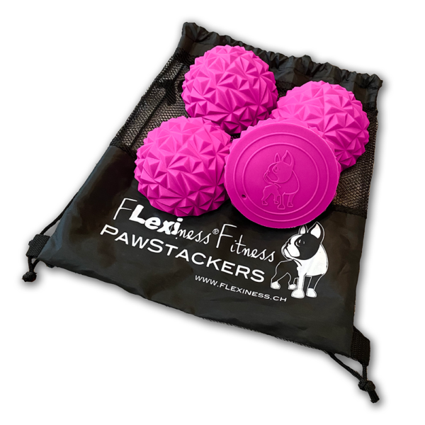 Paw Stackers (Toy) - Image 3
