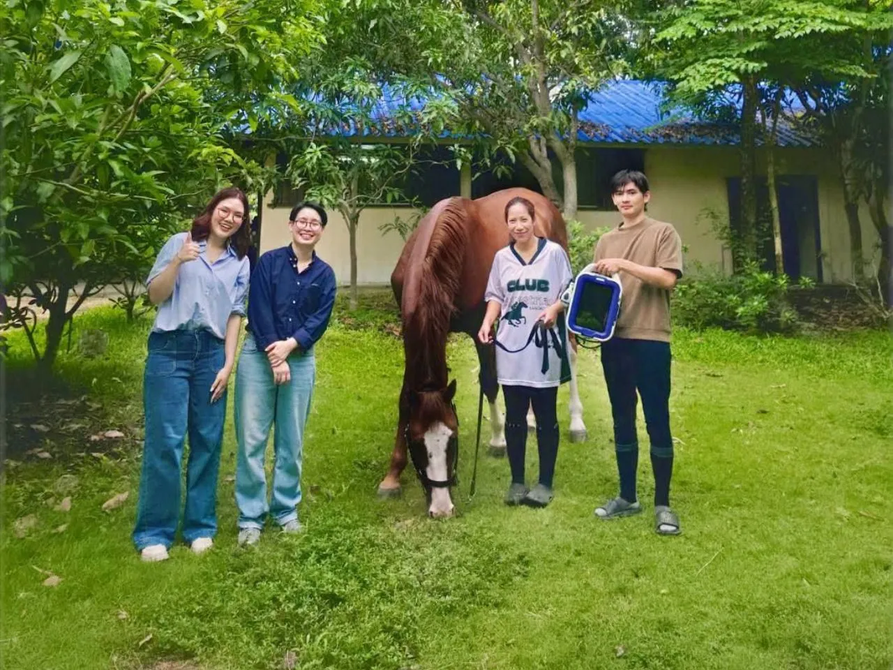 ibl-m-vet-mls-laser-equine-care-khun-pintra