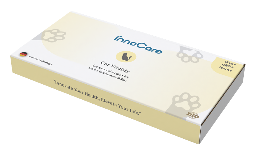 Innocare - Image 2